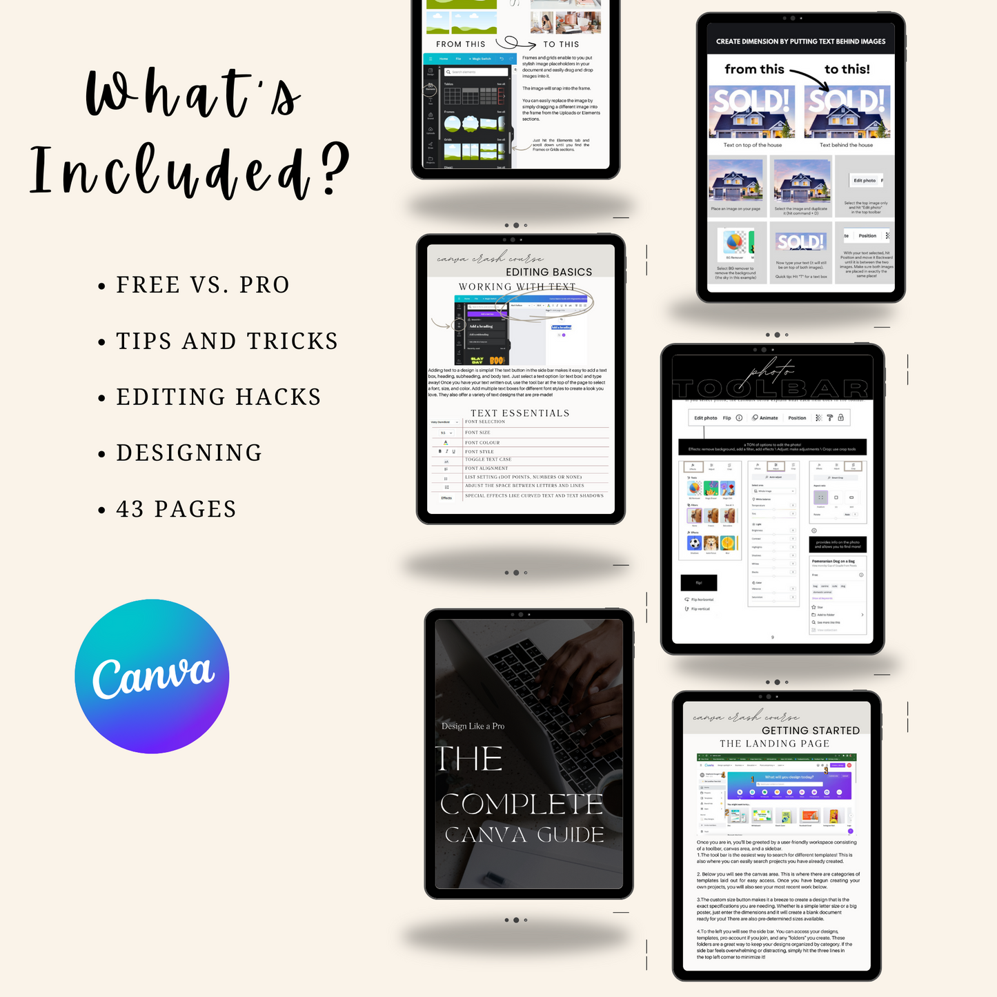 Canva Branding Guide